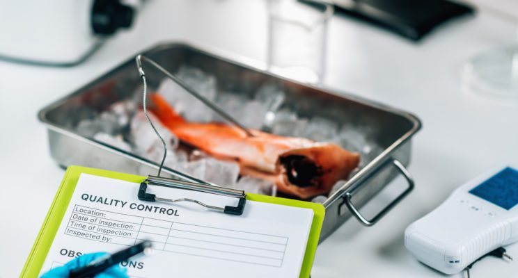 Fish quality control - food safety inspector searching for the presence heavy metals in wild-caught sea fish