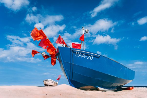 How to spot red flags in the omega-3 supply chain boat with red flags on the beach omega-3