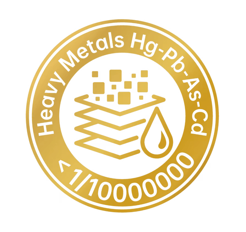 1421 Heavy metal logo